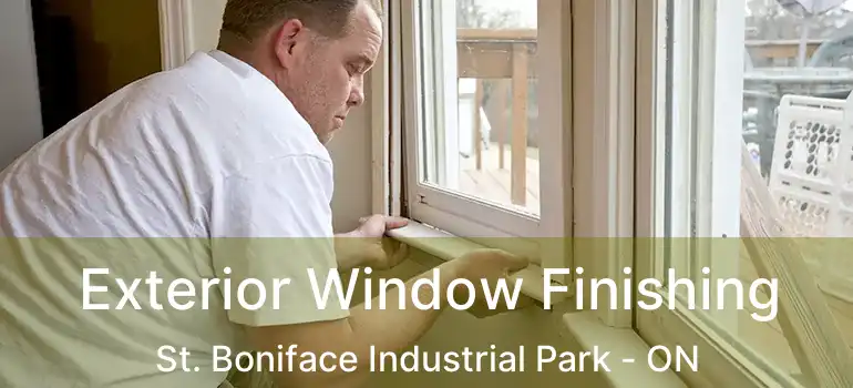  Exterior Window Finishing St. Boniface Industrial Park - ON