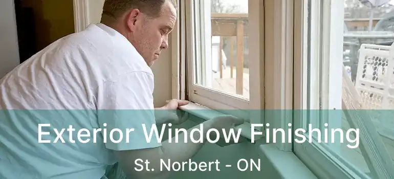  Exterior Window Finishing St. Norbert - ON