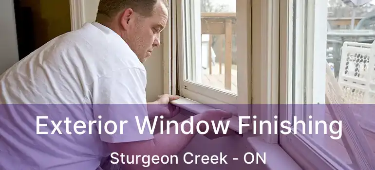  Exterior Window Finishing Sturgeon Creek - ON