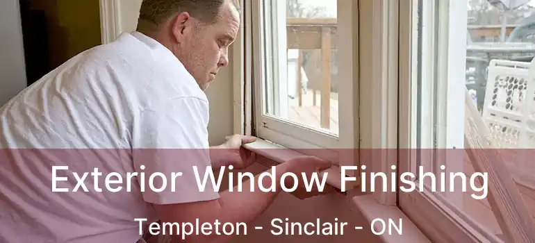  Exterior Window Finishing Templeton - Sinclair - ON