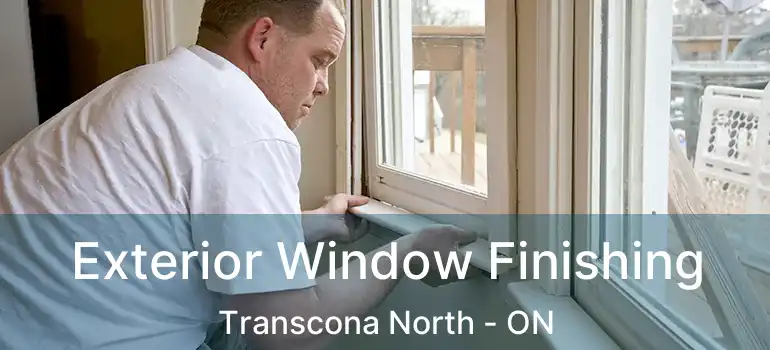  Exterior Window Finishing Transcona North - ON