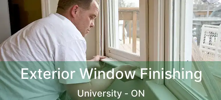  Exterior Window Finishing University - ON