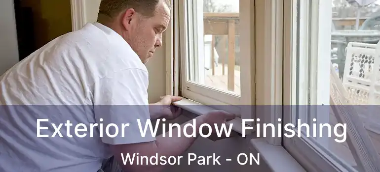  Exterior Window Finishing Windsor Park - ON