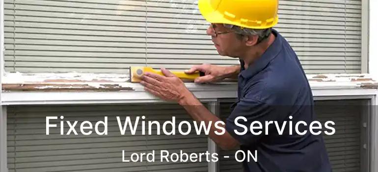  Fixed Windows Services Lord Roberts - ON