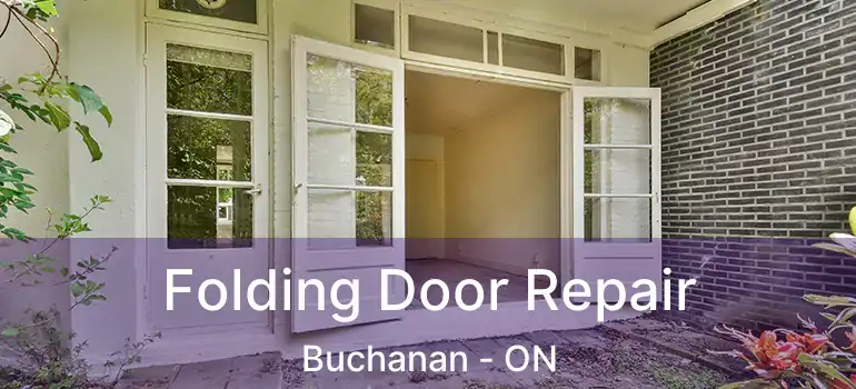  Folding Door Repair Buchanan - ON