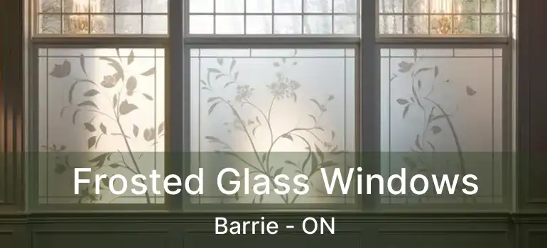  Frosted Glass Windows Barrie - ON
