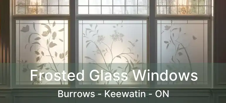  Frosted Glass Windows Burrows - Keewatin - ON