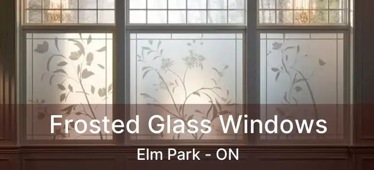  Frosted Glass Windows Elm Park - ON