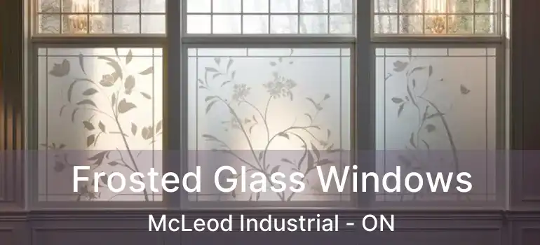  Frosted Glass Windows McLeod Industrial - ON