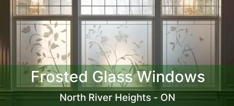  Frosted Glass Windows North River Heights - ON