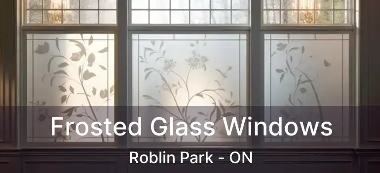  Frosted Glass Windows Roblin Park - ON