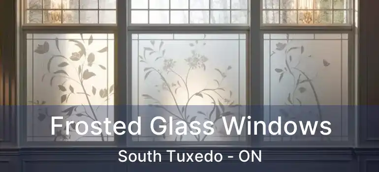  Frosted Glass Windows South Tuxedo - ON