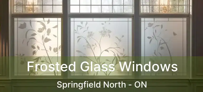  Frosted Glass Windows Springfield North - ON