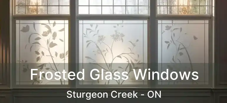  Frosted Glass Windows Sturgeon Creek - ON