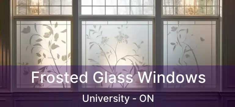  Frosted Glass Windows University - ON