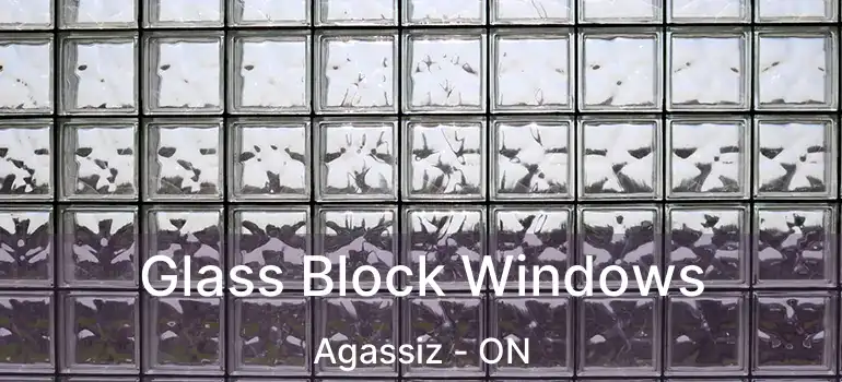  Glass Block Windows Agassiz - ON
