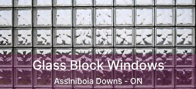  Glass Block Windows Assiniboia Downs - ON