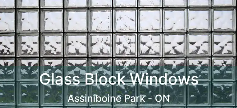  Glass Block Windows Assiniboine Park - ON