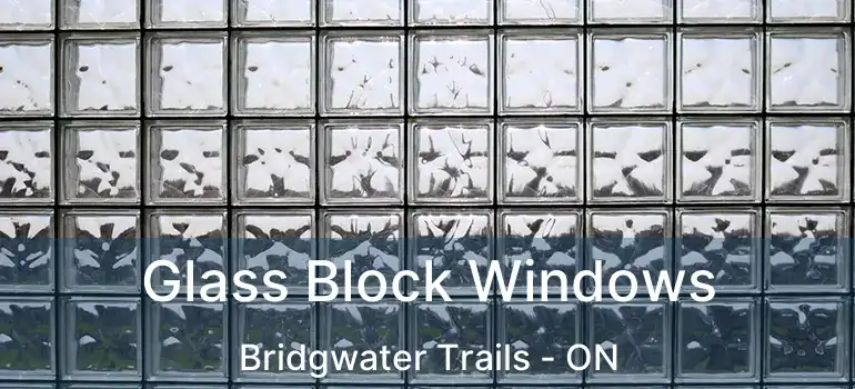  Glass Block Windows Bridgwater Trails - ON