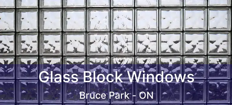  Glass Block Windows Bruce Park - ON