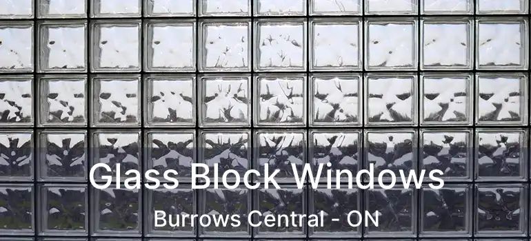  Glass Block Windows Burrows Central - ON