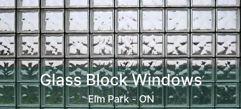  Glass Block Windows Elm Park - ON