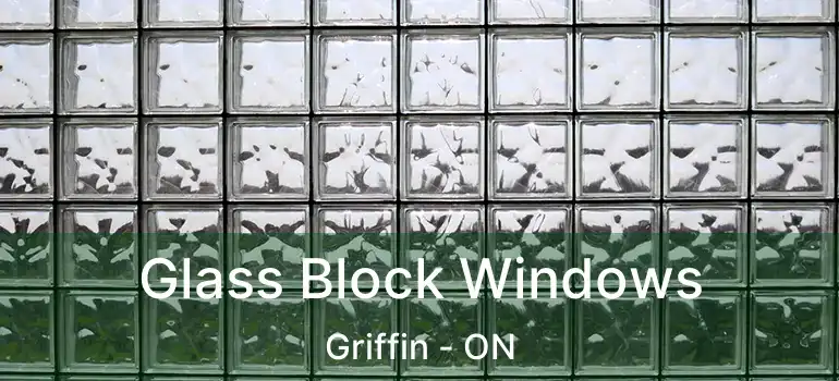  Glass Block Windows Griffin - ON
