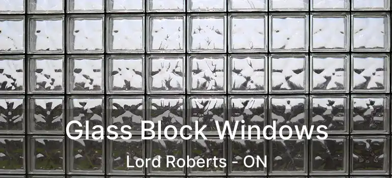  Glass Block Windows Lord Roberts - ON