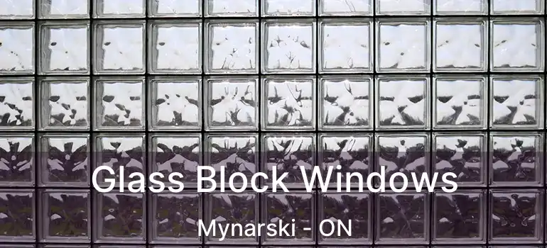  Glass Block Windows Mynarski - ON