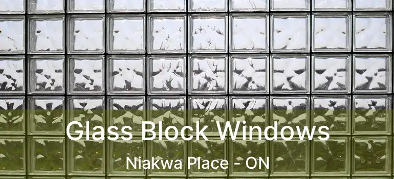  Glass Block Windows Niakwa Place - ON