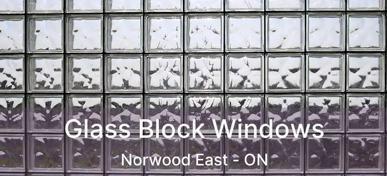  Glass Block Windows Norwood East - ON