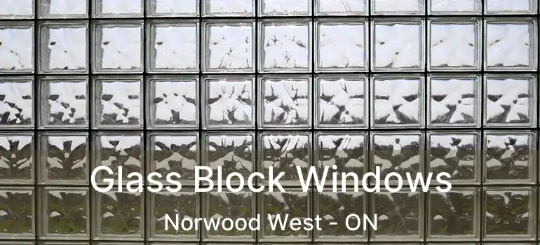  Glass Block Windows Norwood West - ON