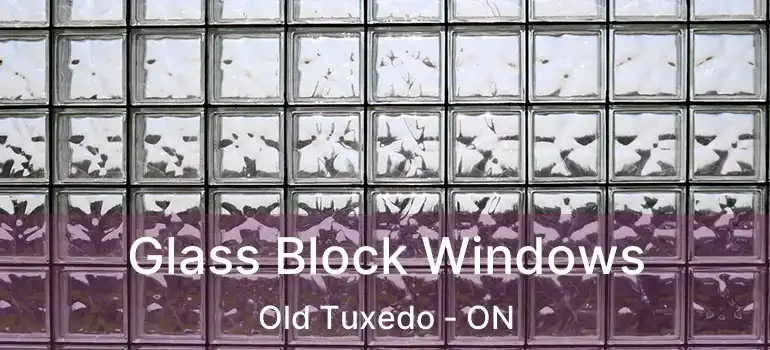  Glass Block Windows Old Tuxedo - ON