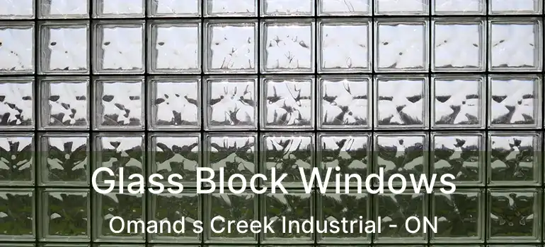  Glass Block Windows Omand s Creek Industrial - ON