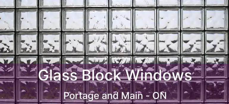  Glass Block Windows Portage and Main - ON