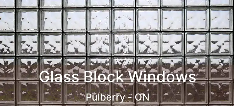  Glass Block Windows Pulberry - ON