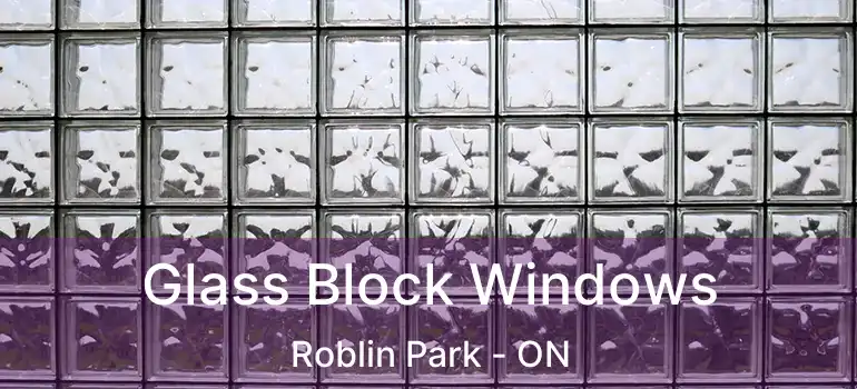  Glass Block Windows Roblin Park - ON