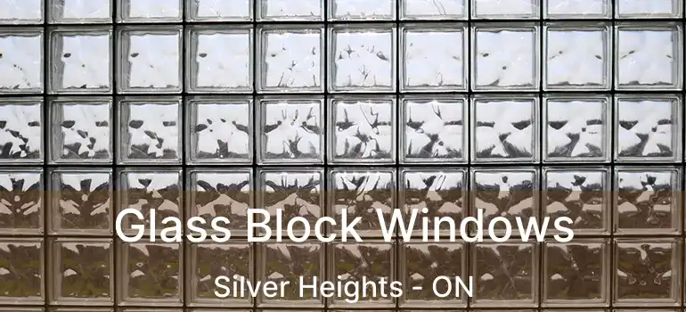  Glass Block Windows Silver Heights - ON