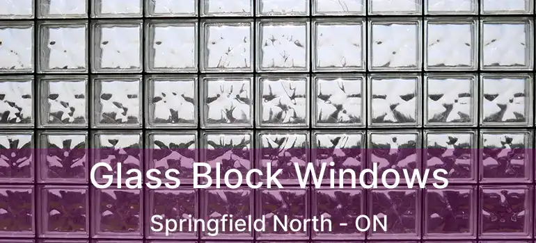  Glass Block Windows Springfield North - ON