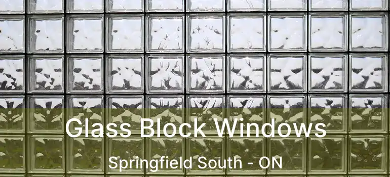  Glass Block Windows Springfield South - ON