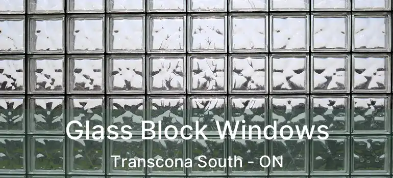  Glass Block Windows Transcona South - ON