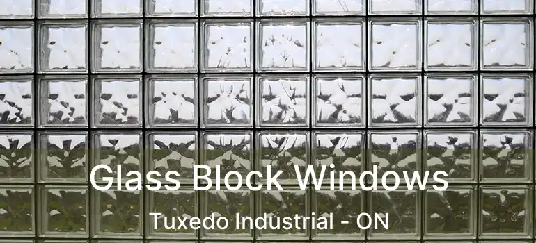 Glass Block Windows Tuxedo Industrial - ON