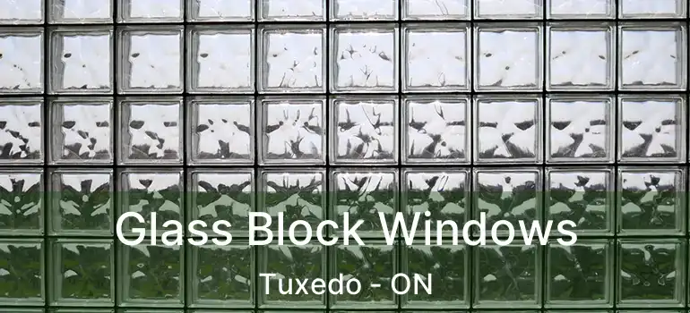  Glass Block Windows Tuxedo - ON