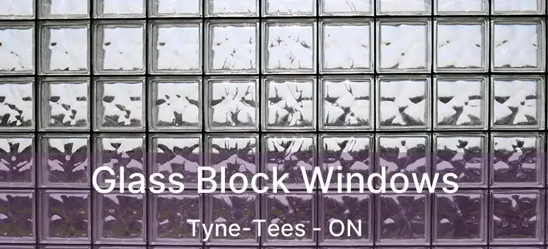 Glass Block Windows Tyne-Tees - ON