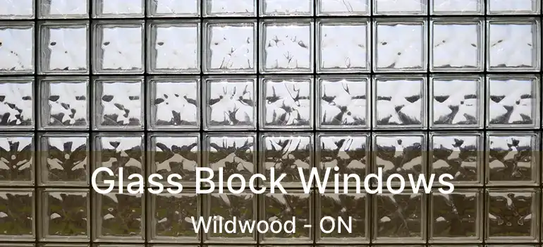  Glass Block Windows Wildwood - ON