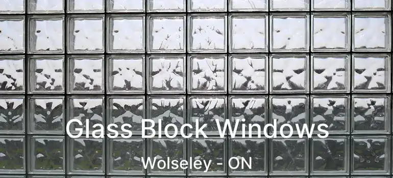 Glass Block Windows Wolseley - ON