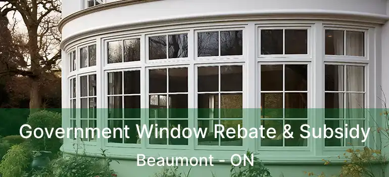  Government Window Rebate & Subsidy Beaumont - ON