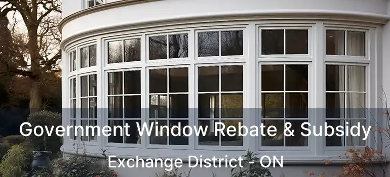  Government Window Rebate & Subsidy Exchange District - ON