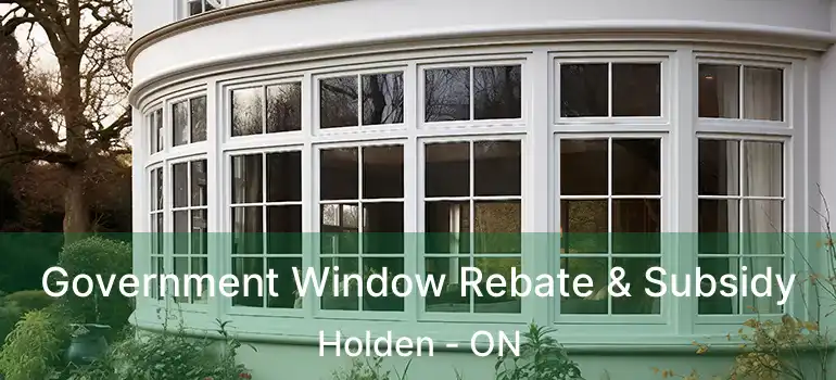  Government Window Rebate & Subsidy Holden - ON