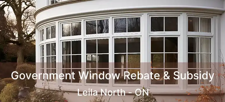  Government Window Rebate & Subsidy Leila North - ON
